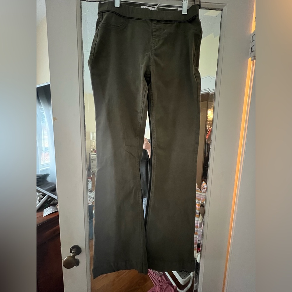 Cello Flare Jeans in Olive Green